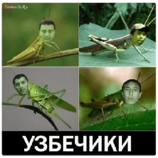 😁 emoji Стикеры от @manya_019 — @stckrRobot Telegram sticker 6 of 120