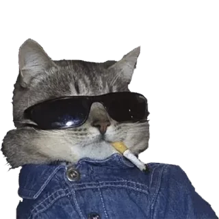 😾 emoji Больше стиков тут: @stikery4 Telegram sticker 3 of 113
