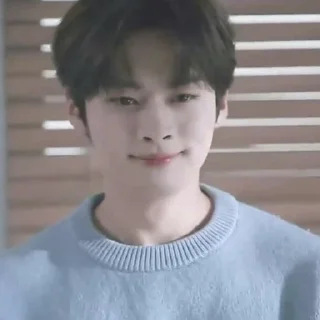 🙃 emoji Stray kids Telegram sticker 18 of 37
