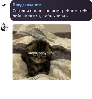🧑‍🦲 emoji лахундры🫧🤏🤏🤏 pack by @QuotLyBot Telegram sticker 15 of 70