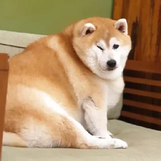 😴 emoji Хлебная тема Telegram sticker 14 of 112