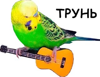 🍢 emoji 🌸Веселые коровки✨ pack by @QuotLyBot Telegram sticker 7 of 64
