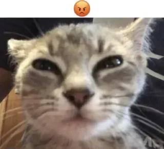 😡 emoji Больше стикеров 👉🏻 @stickertg4 Telegram sticker 15 of 50