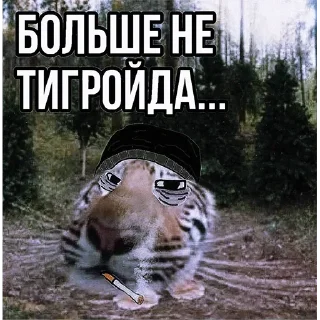 🤔 emoji Больше стикеров 👉🏻 @stickertg4 Telegram sticker 8 of 19
