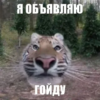 🤔 emoji Больше стикеров 👉🏻 @stickertg4 Telegram sticker 4 of 19