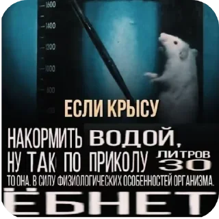 👍 emoji Мохнатый джунджурик Telegram sticker 4 of 4