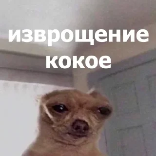 🫣 emoji Анонимный чат: @anonimnyi_chatbot 💓 Telegram sticker 16 of 80