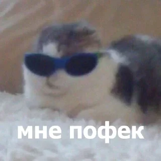 🤓 emoji Анонимный чат: @anonimnyi_chatbot 💓 Telegram sticker 8 of 80