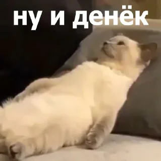 🫥 emoji Анонимный чат: @anonimnyi_chatbot 💓 Telegram sticker 10 of 80