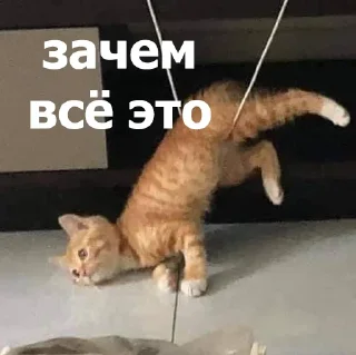 😒 emoji Анонимный чат: @anonimnyi_chatbot 💓 Telegram sticker 18 of 80