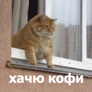 😒 emoji Анонимный чат: @anonimnyi_chatbot 💓 Telegram sticker 6 of 80