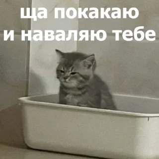🫵 emoji Анонимный чат: @anonimnyi_chatbot 💓 Telegram sticker 20 of 80