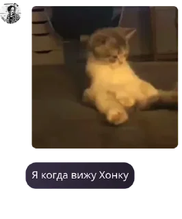 👴 emoji Дарвинс бейбики.MLBB🫶🏻️ pack by @QuotLyBot Telegram sticker 3 of 120
