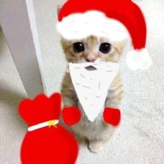 😍 emoji Новый год🎅🏻 Telegram sticker 21 of 25