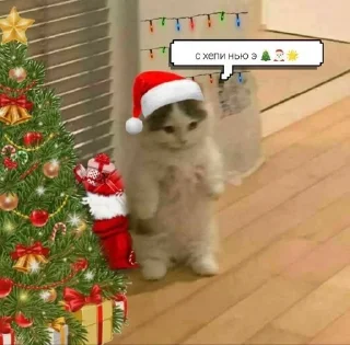 👁 emoji Новый год🎅🏻 Telegram sticker 24 of 25