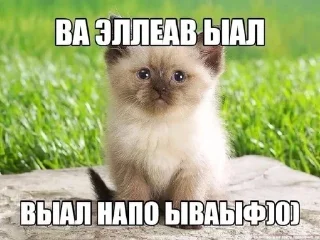 😀 emoji Больше стиков тут: @stikery4 Telegram sticker 17 of 83