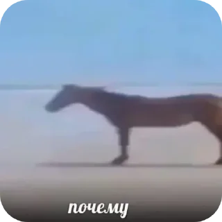 🐎 emoji Да Telegram sticker 6 of 65