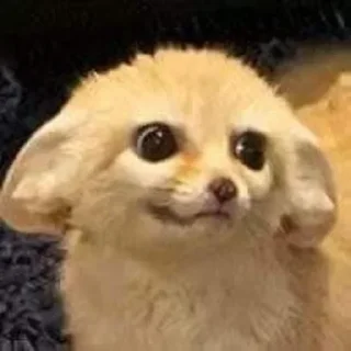 😟 emoji Церковь Св.Орбантия Telegram sticker 7 of 27