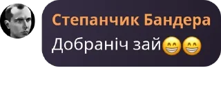 😁 emoji цитати/стикери @idinahuydolboyob Telegram sticker 17 of 58