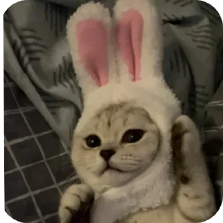 🐰 emoji Китики Telegram sticker 11 of 12