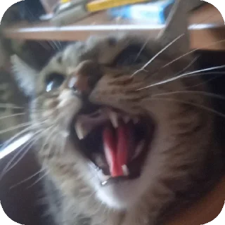 🤬 emoji пи Telegram sticker 11 of 18