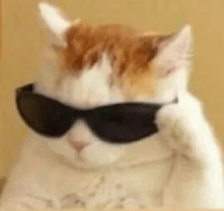 😎 emoji Китики Telegram sticker 7 of 27