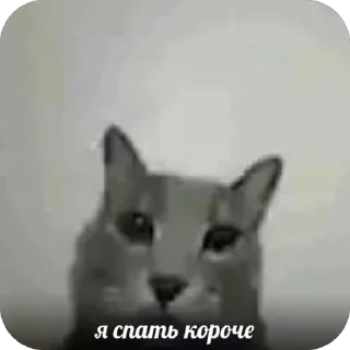 🫥 emoji Китики Telegram sticker 22 of 50