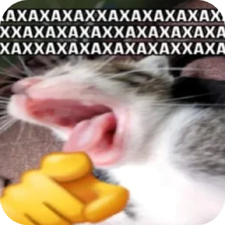 🐱 emoji XD пак хару Telegram sticker 8 of 108