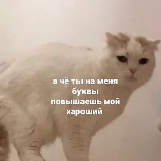 ❓ emoji Больше стиков тут: @stikery4 Telegram sticker 17 of 120