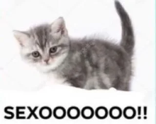 😔 emoji котеки😸 ➡️ @Ctikerubot Telegram sticker 5 of 24