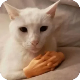 🫥 emoji Уро котеки ➡️ @Ctikerubot Telegram sticker 18 of 41