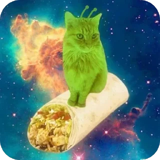 🫥 emoji котеки!! ➡️ @Ctikerubot Telegram sticker 7 of 12