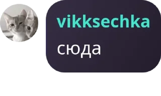 🎆 emoji НАЙК ПРО Telegram sticker 8 of 73