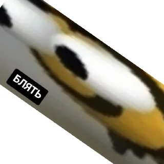 Sticker from What is that shit