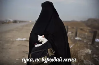 🌟 emoji адская дрочильня Telegram sticker 7 of 72