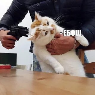 🌟 emoji адская дрочильня Telegram sticker 14 of 72