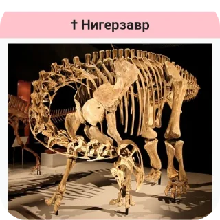 🦕 emoji Dino Telegram sticker 22 of 120