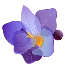 🌺 emoji Эмоции Telegram sticker 13 of 39