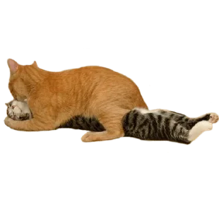 💏 emoji Stickermancer Telegram sticker 17 of 53