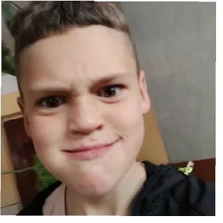 😄 emoji вяци ка дяци да нороку ка флоку Telegram sticker 11 of 31
