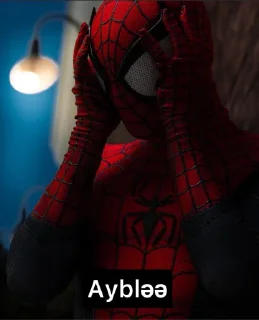 🕸️ emoji Spiderman Telegram sticker 14 of 45