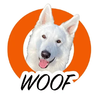 🐶 emoji Dogito Telegram sticker 23 of 27