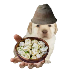 🤩 emoji Uralian wojak | by @uralskiy_oblastnik Telegram sticker 3 of 20