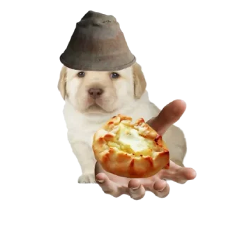 🤩 emoji Uralian wojak | by @uralskiy_oblastnik Telegram sticker 2 of 20
