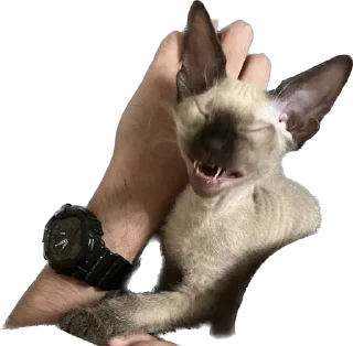😁 emoji Каспер Telegram sticker 15 of 56