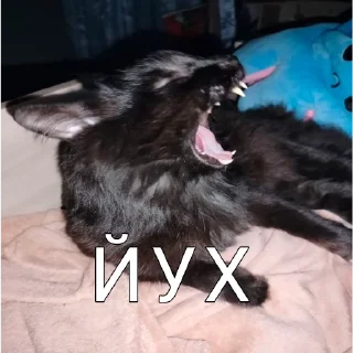 🫠 emoji Пельмени,это очень вкусные пельмени Telegram sticker 14 of 17