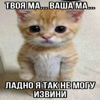 😁 emoji коты ➡️ @Ctikerubot Telegram sticker 17 of 87