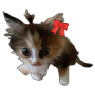 😊 emoji $ Anim $ Telegram sticker 5 of 41