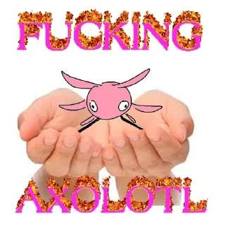 🔥 emoji IT'S KINITOPET ➡️ @Ctikerubot Telegram sticker 5 of 34