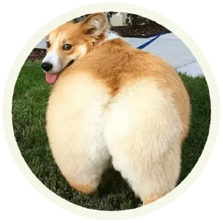 😛 emoji Jalka's favs🌸 — @stckrRobot Telegram sticker 14 of 117